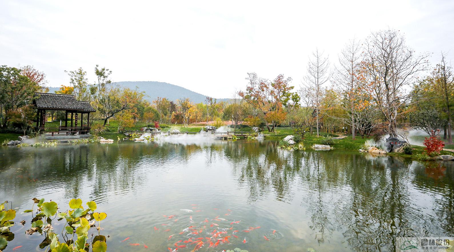 电竞比赛押注app