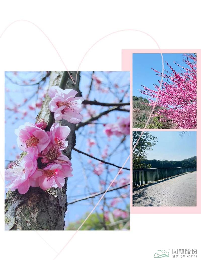 电竞比赛押注app