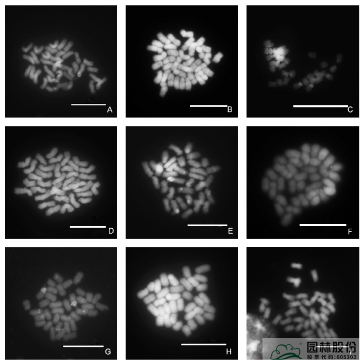 电竞比赛押注app