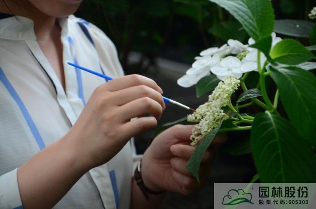 电竞比赛押注app