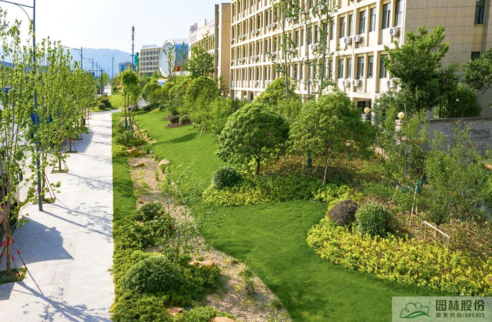 电竞比赛押注app