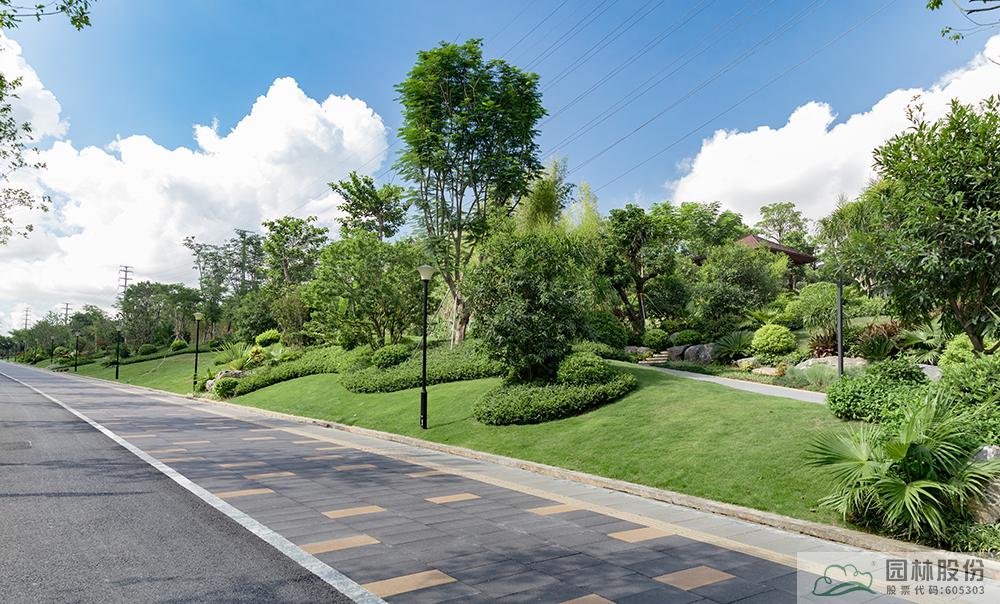 电竞比赛押注app