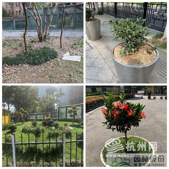 电竞比赛押注app