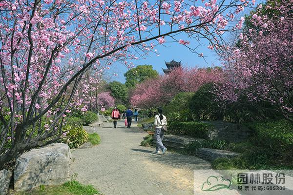 电竞比赛押注app