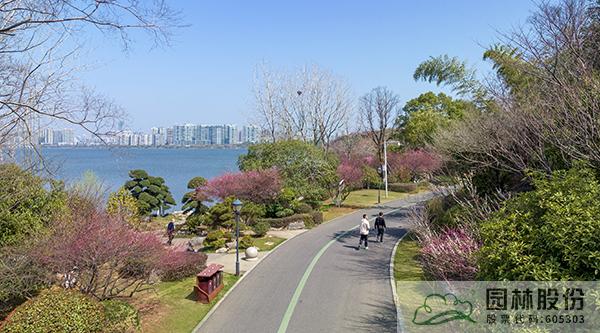 电竞比赛押注app