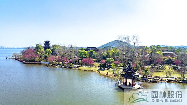 电竞比赛押注app