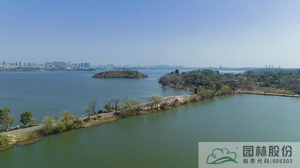 电竞比赛押注app