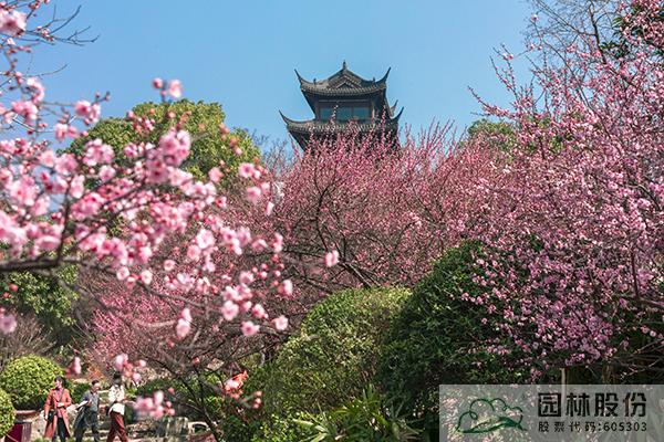 电竞比赛押注app