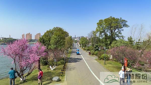 电竞比赛押注app