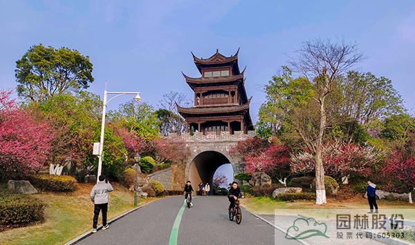 电竞比赛押注app