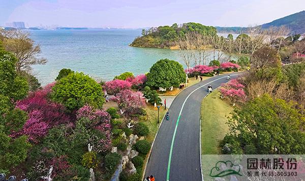 电竞比赛押注app