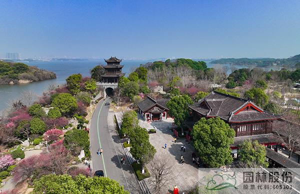 电竞比赛押注app