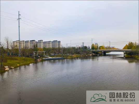 电竞比赛押注app