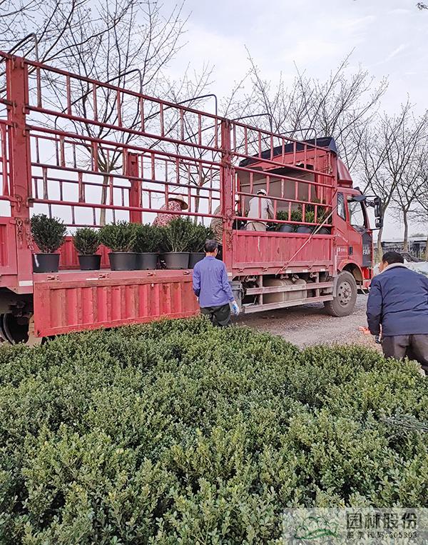 电竞比赛押注app