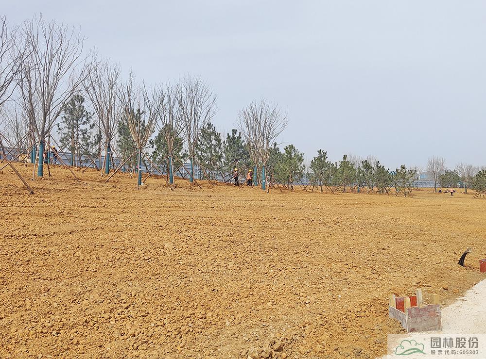 电竞比赛押注app