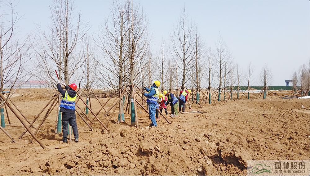 电竞比赛押注app