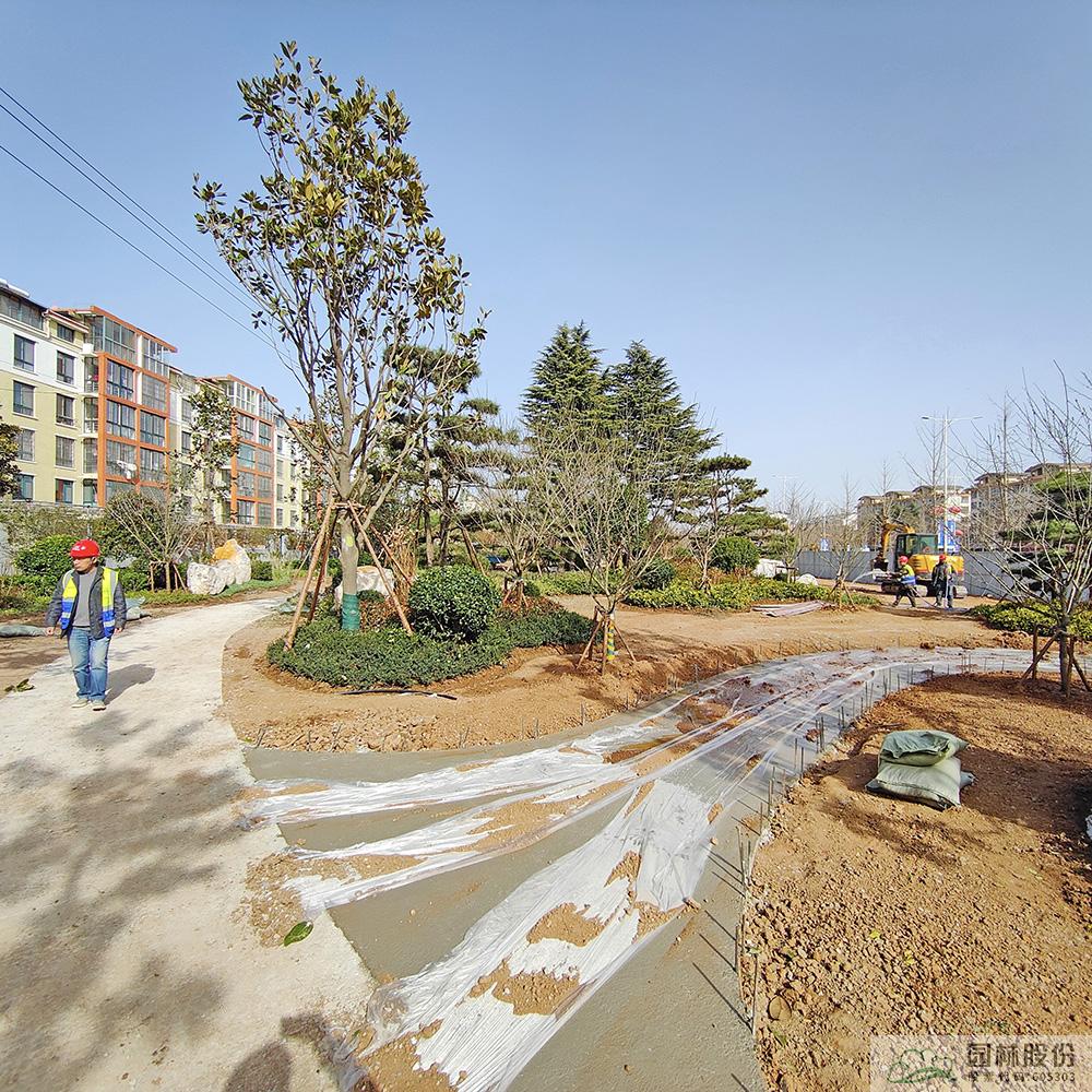 电竞比赛押注app