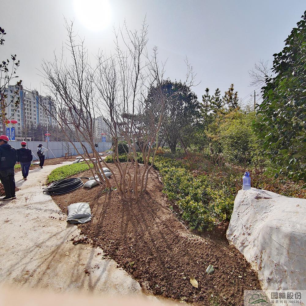 电竞比赛押注app