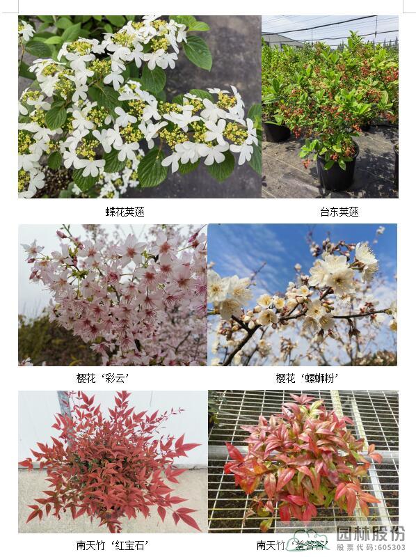 电竞比赛押注app