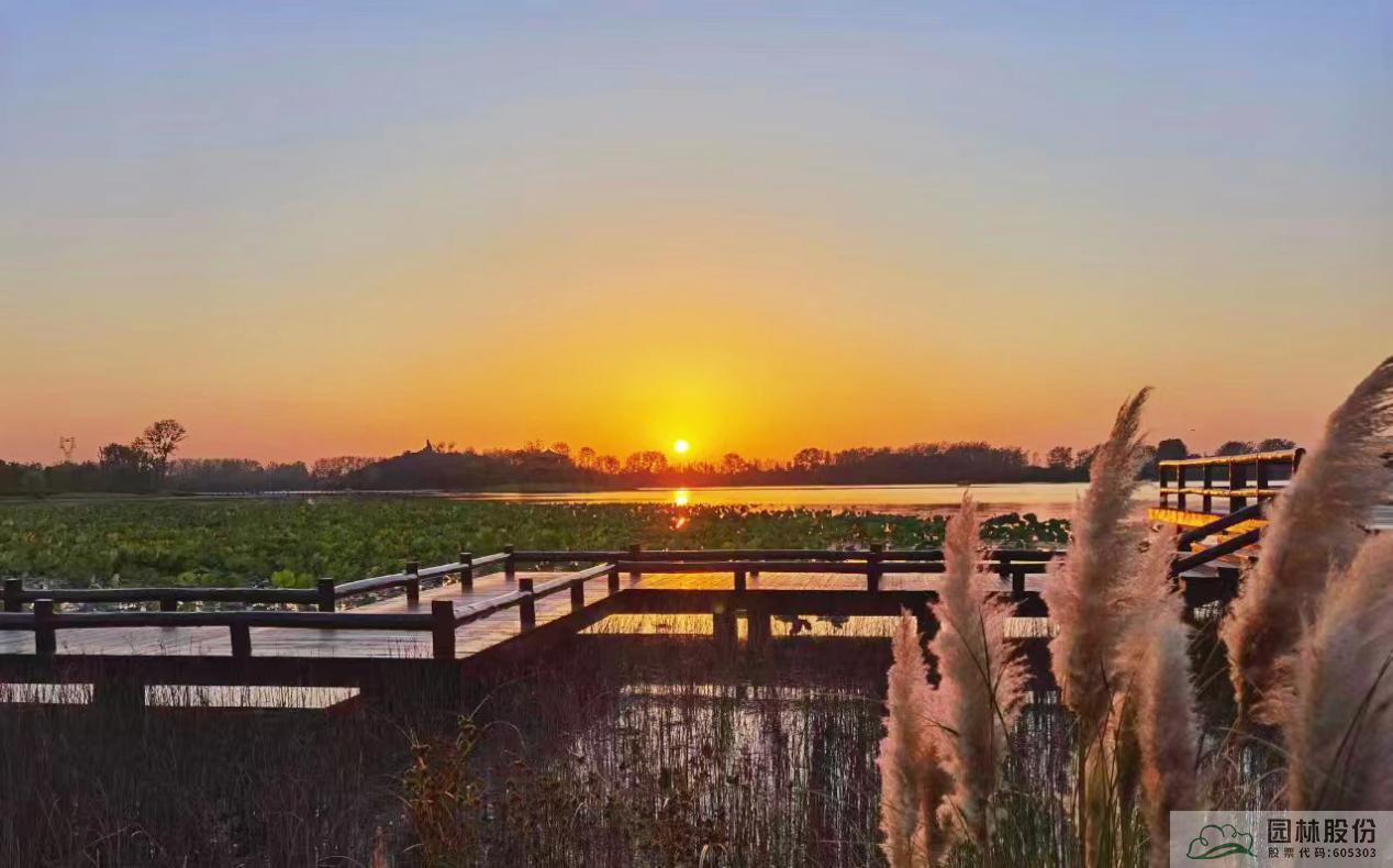 电竞比赛押注app