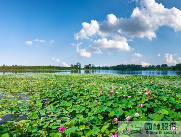 电竞比赛押注app