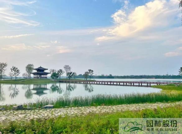 电竞比赛押注app