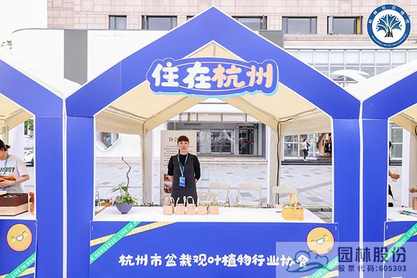 电竞比赛押注app