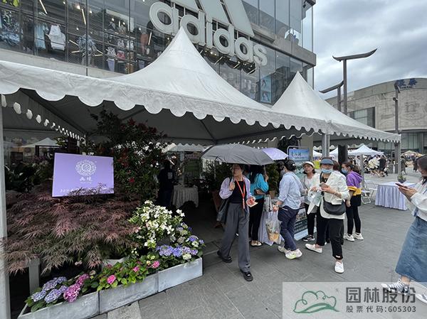 电竞比赛押注app