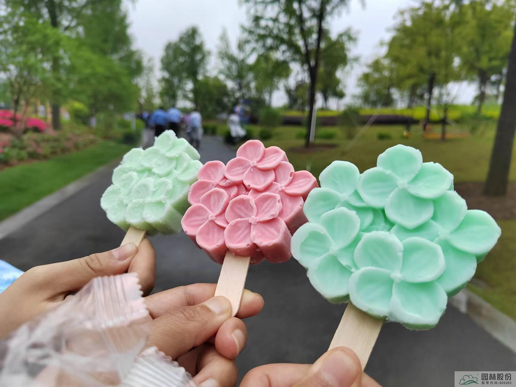 电竞比赛押注app