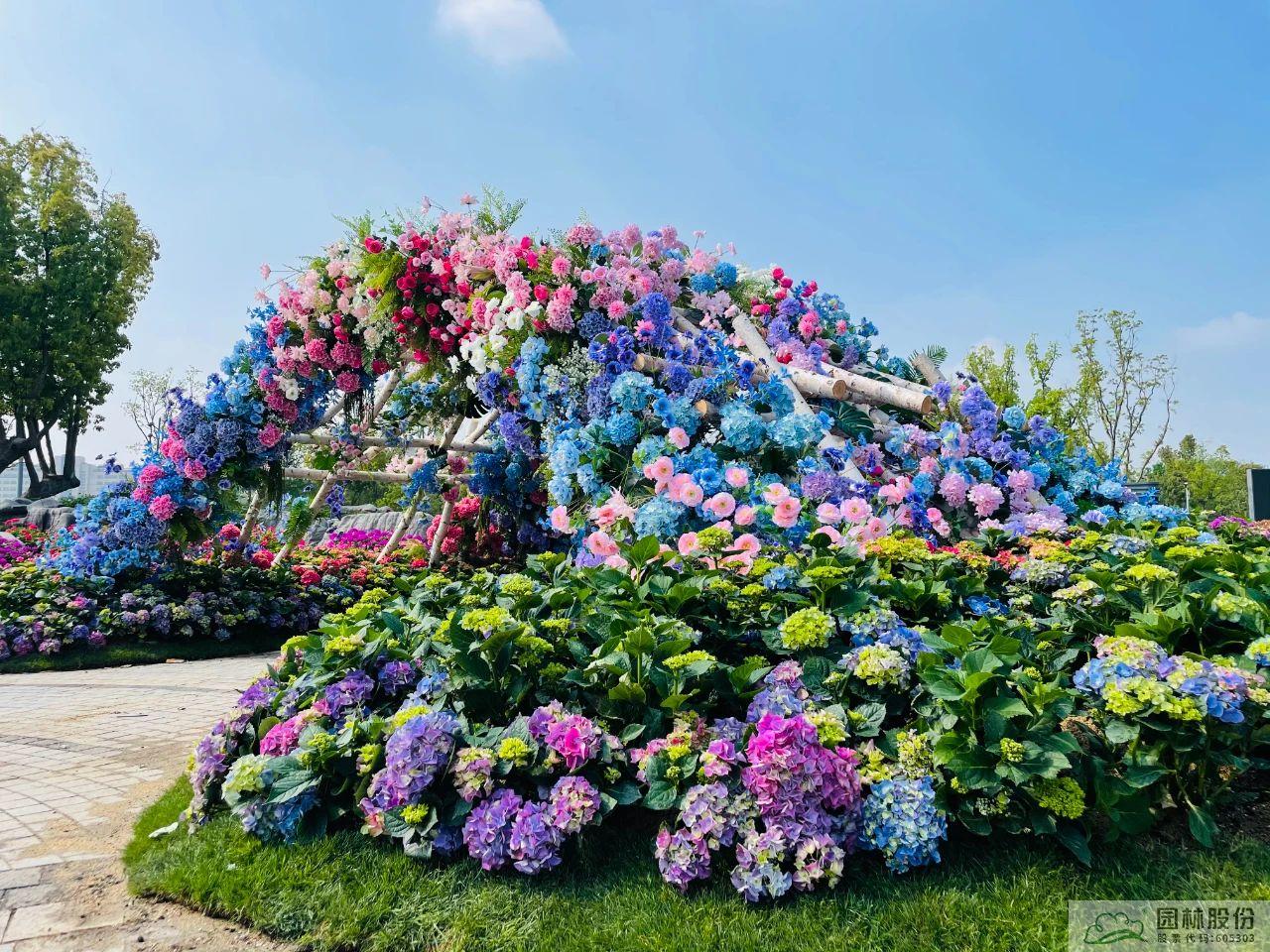 电竞比赛押注app