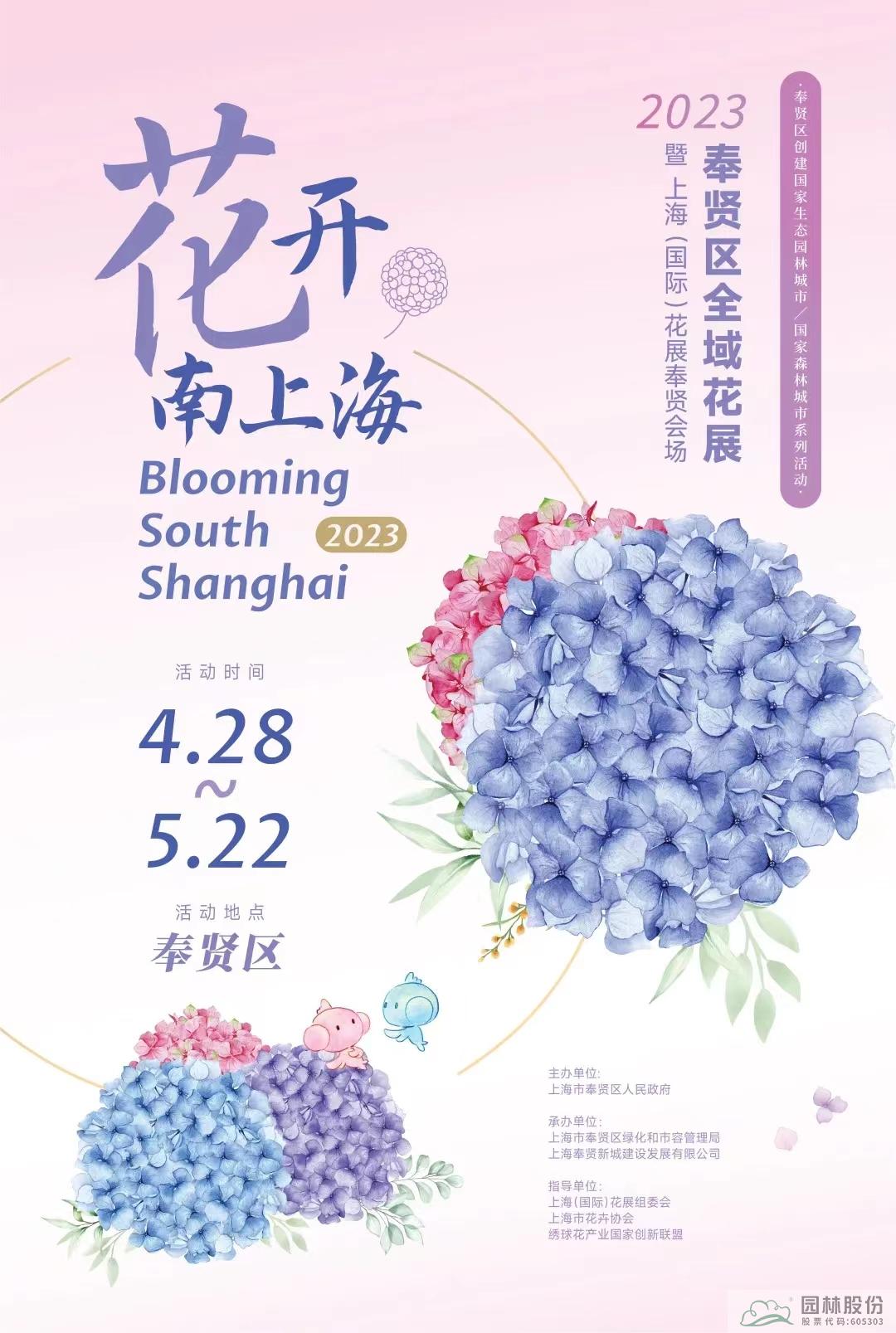 电竞比赛押注app