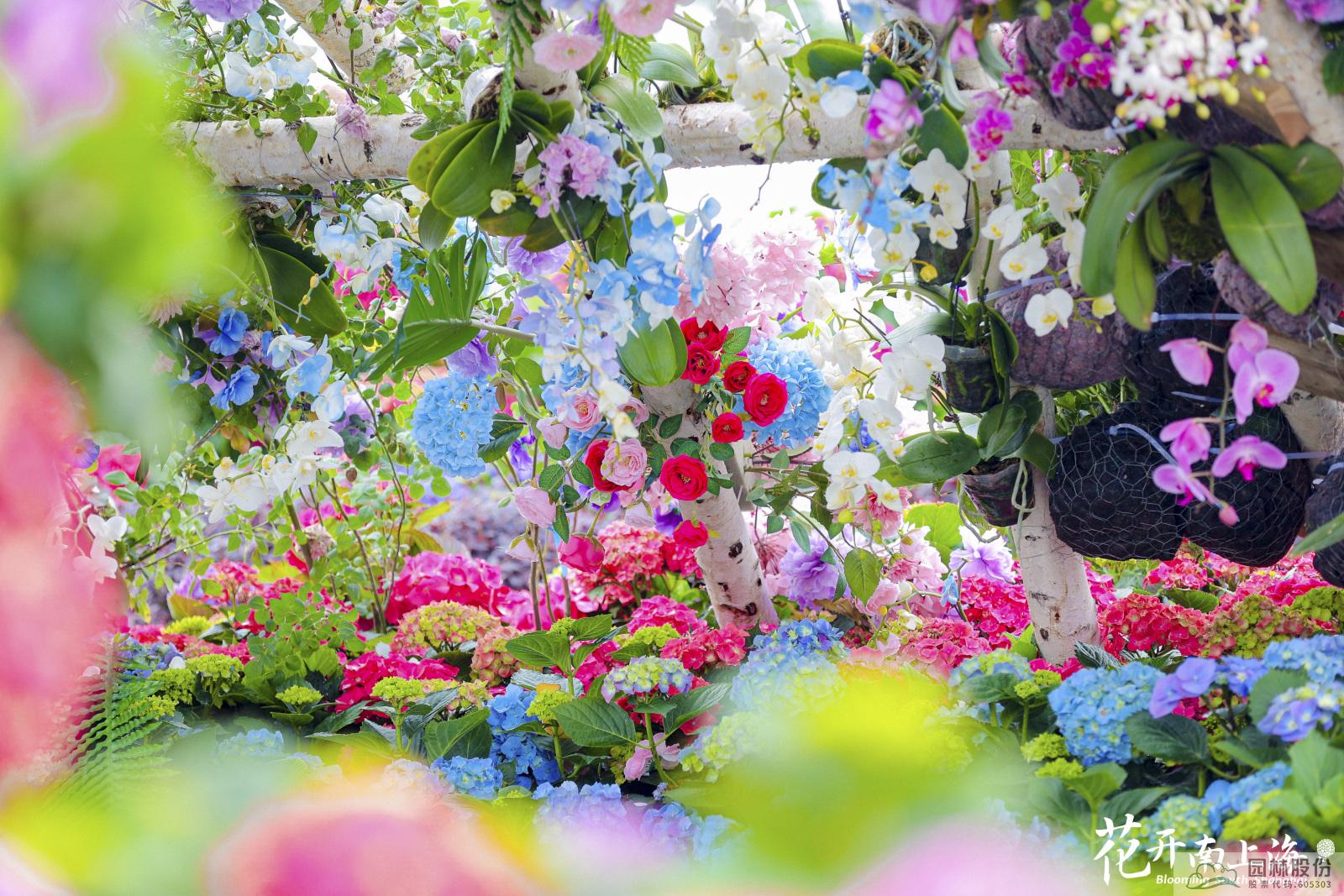 电竞比赛押注app