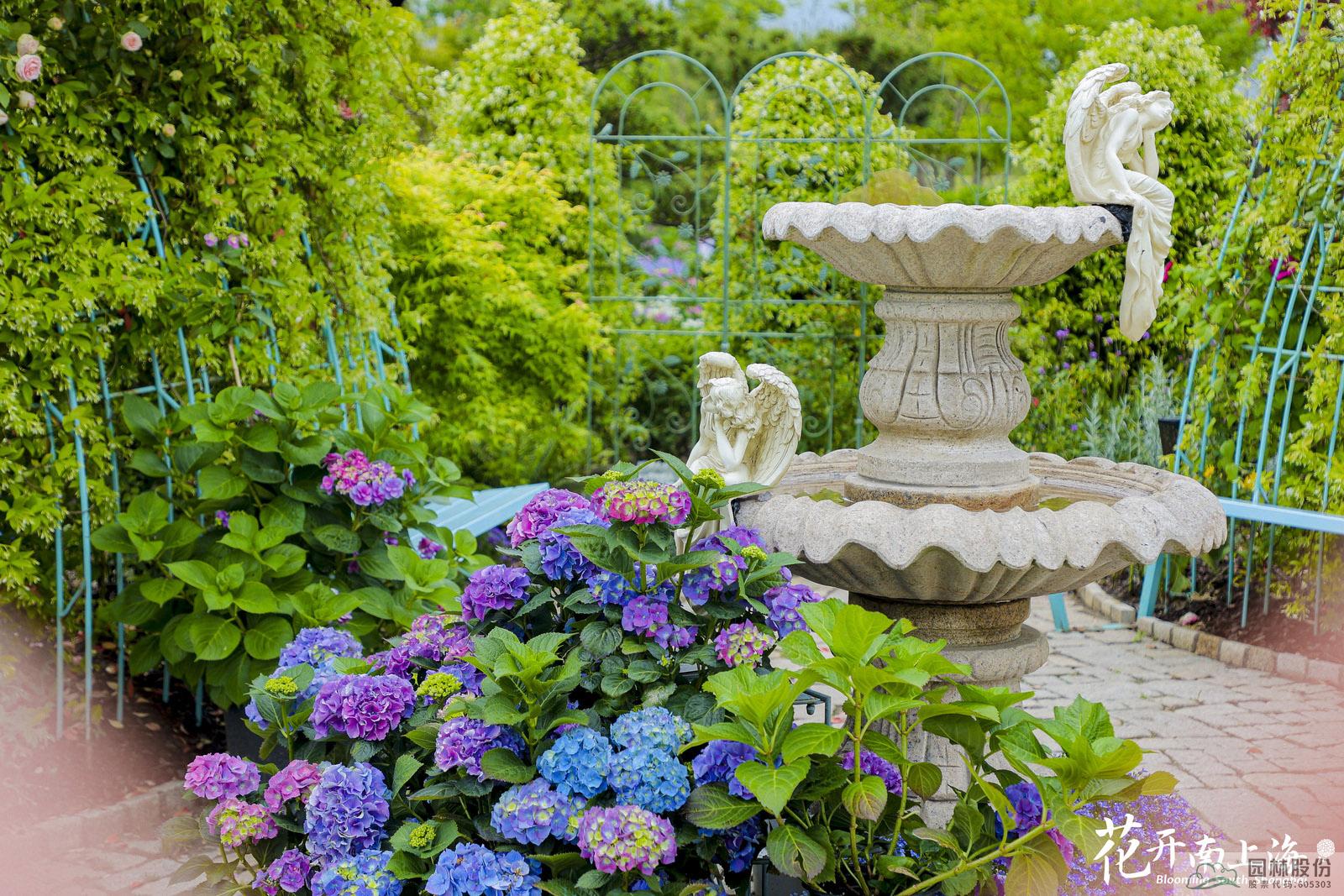 电竞比赛押注app