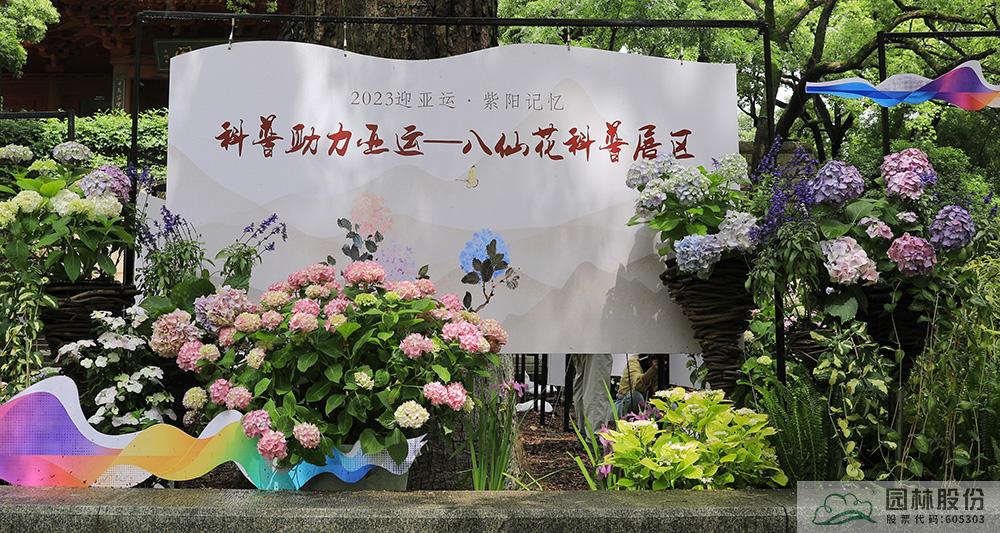 电竞比赛押注app