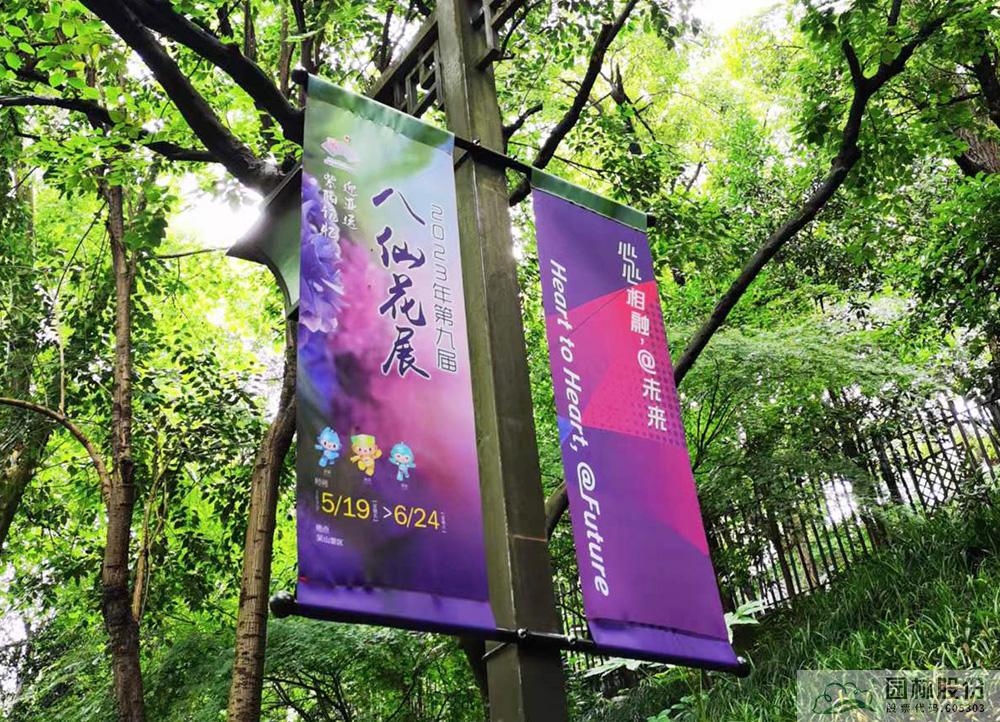 电竞比赛押注app