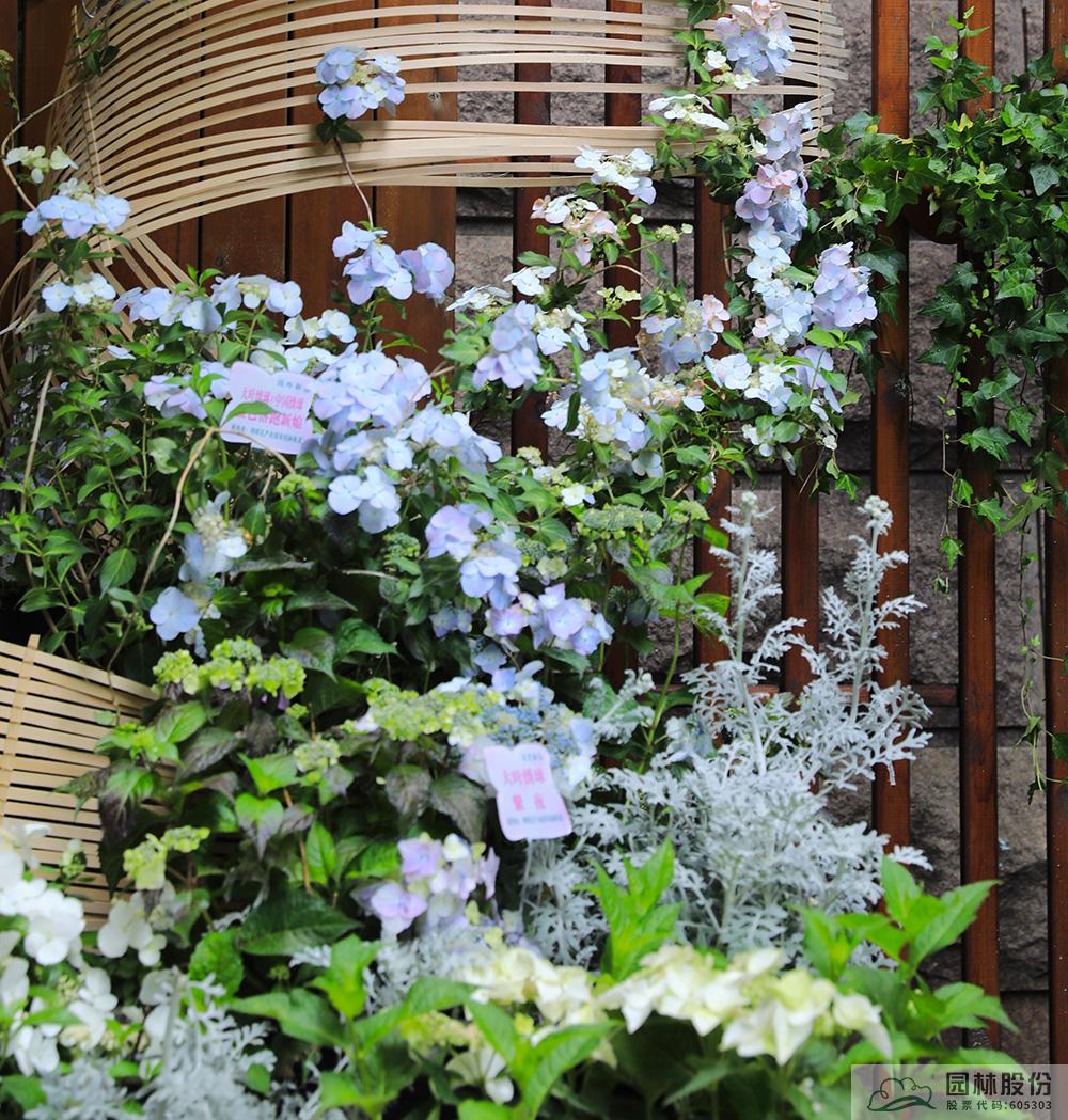 电竞比赛押注app