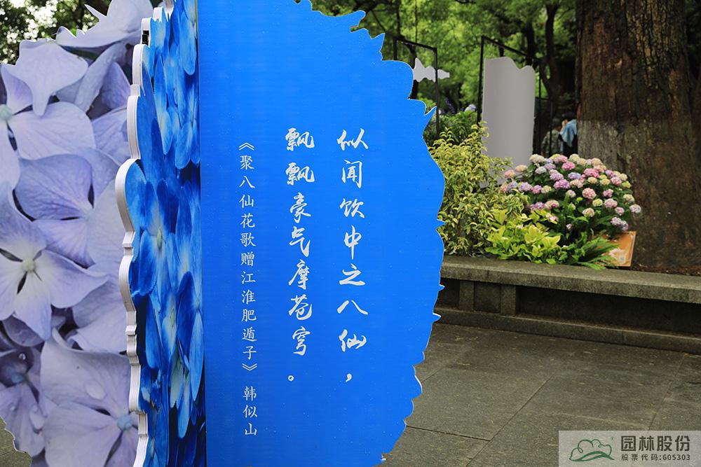 电竞比赛押注app