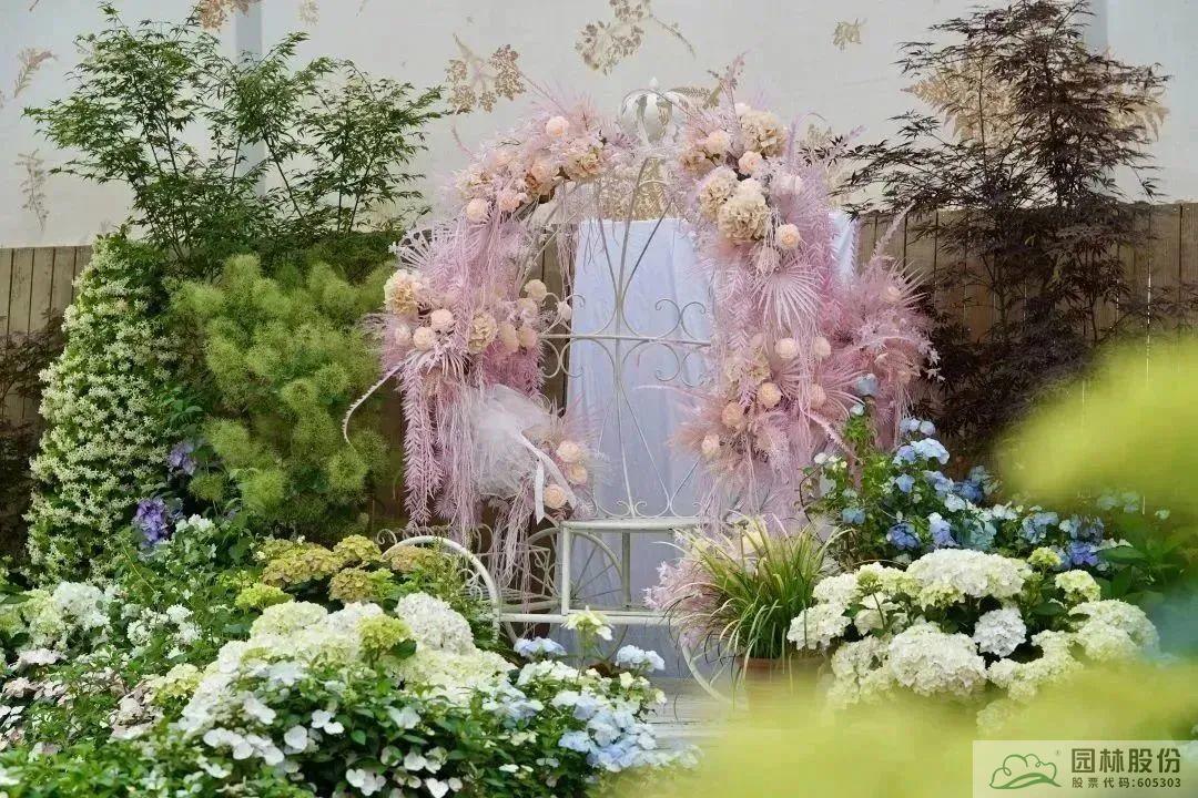 电竞比赛押注app