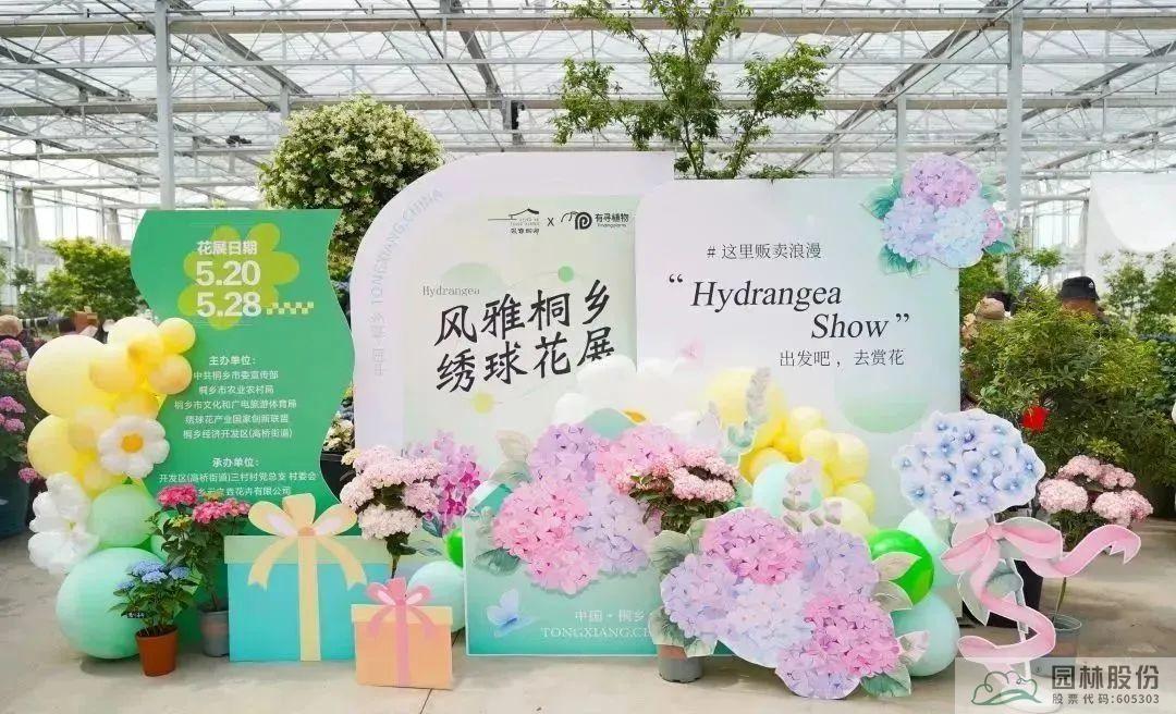 电竞比赛押注app