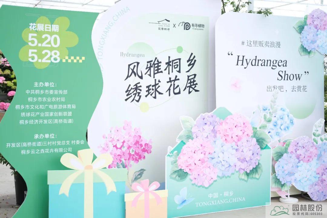 电竞比赛押注app