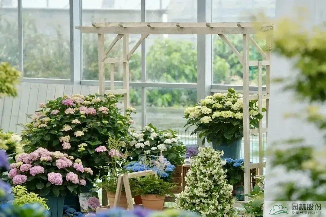 电竞比赛押注app