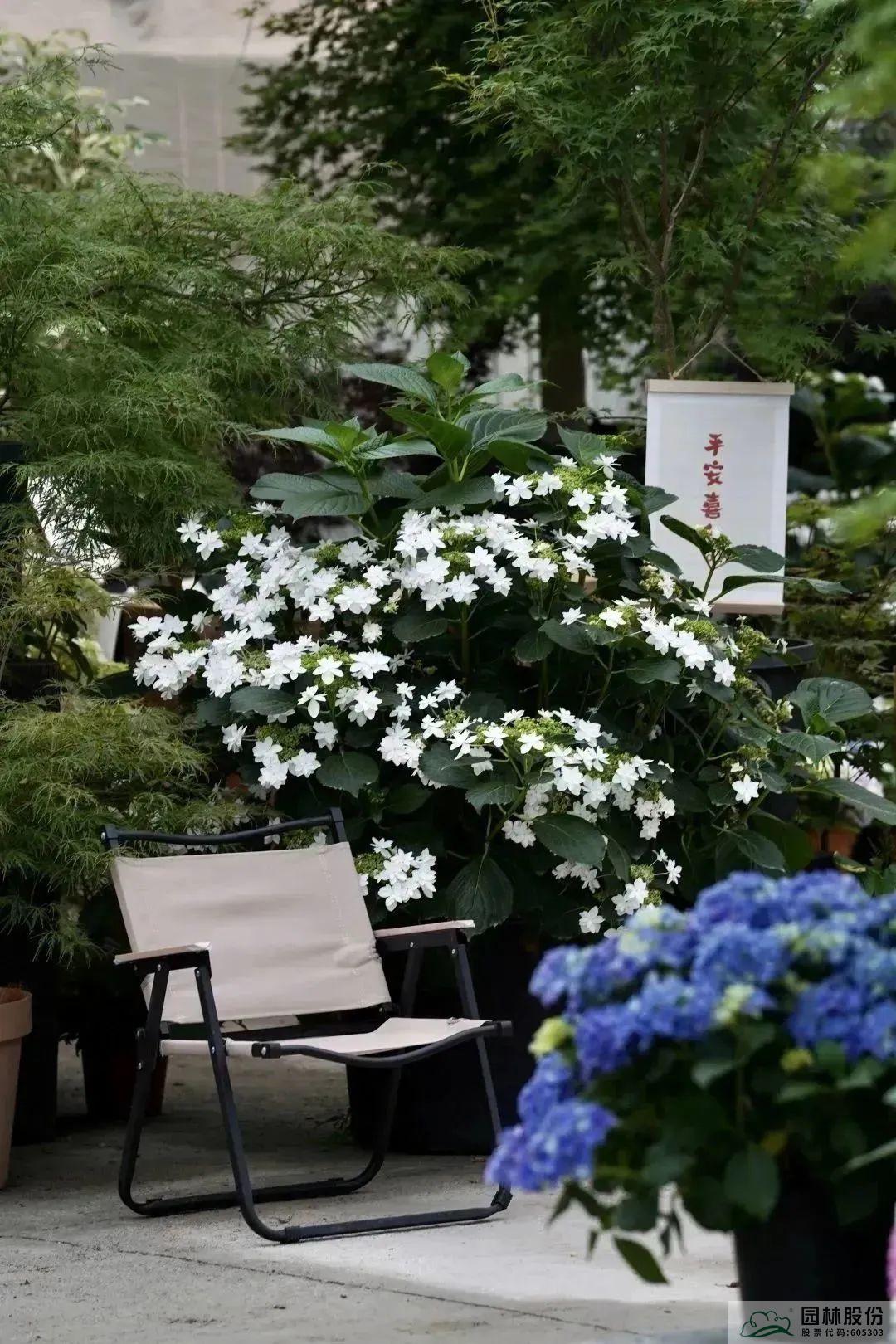 电竞比赛押注app