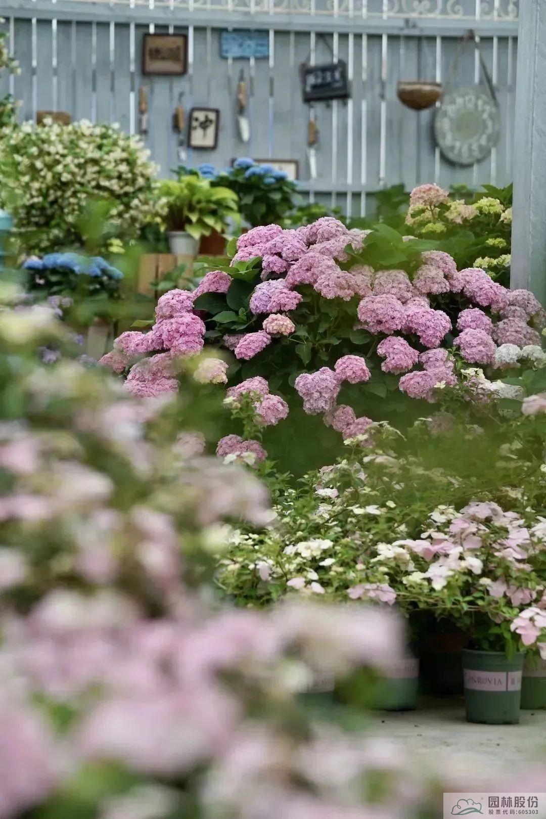 电竞比赛押注app