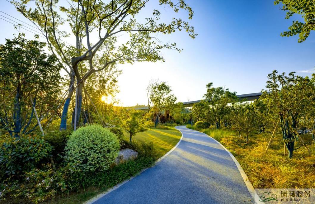 电竞比赛押注app