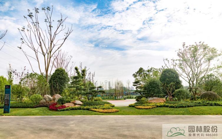 电竞比赛押注app