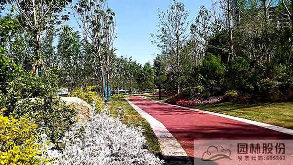 电竞比赛押注app