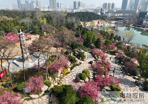 电竞比赛押注app