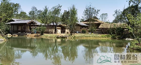 电竞比赛押注app