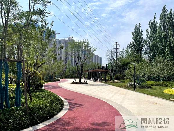 电竞比赛押注app