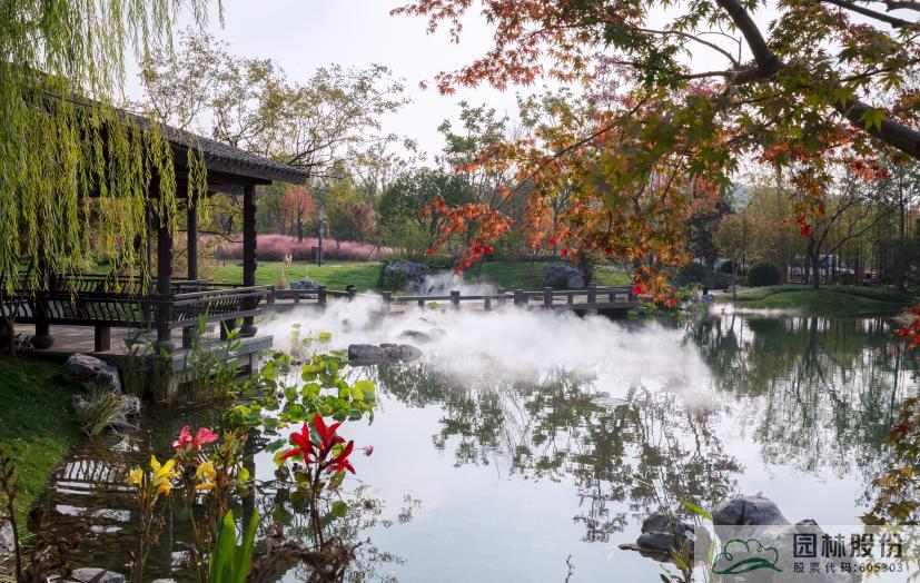 电竞比赛押注app